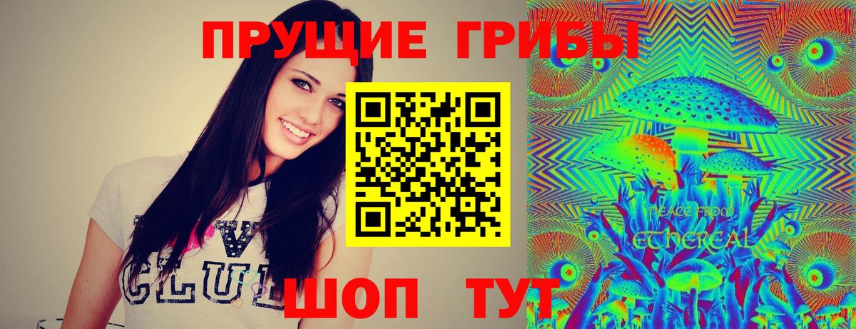 Псилоцибиновые грибы GOLDEN TEACHER  Вход с VPN  купить наркоту  Егорьевск 
