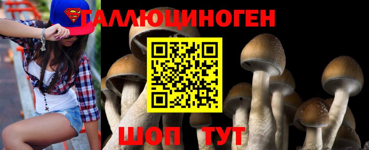 Галлюциногенные грибы Magic Shrooms Егорьевск